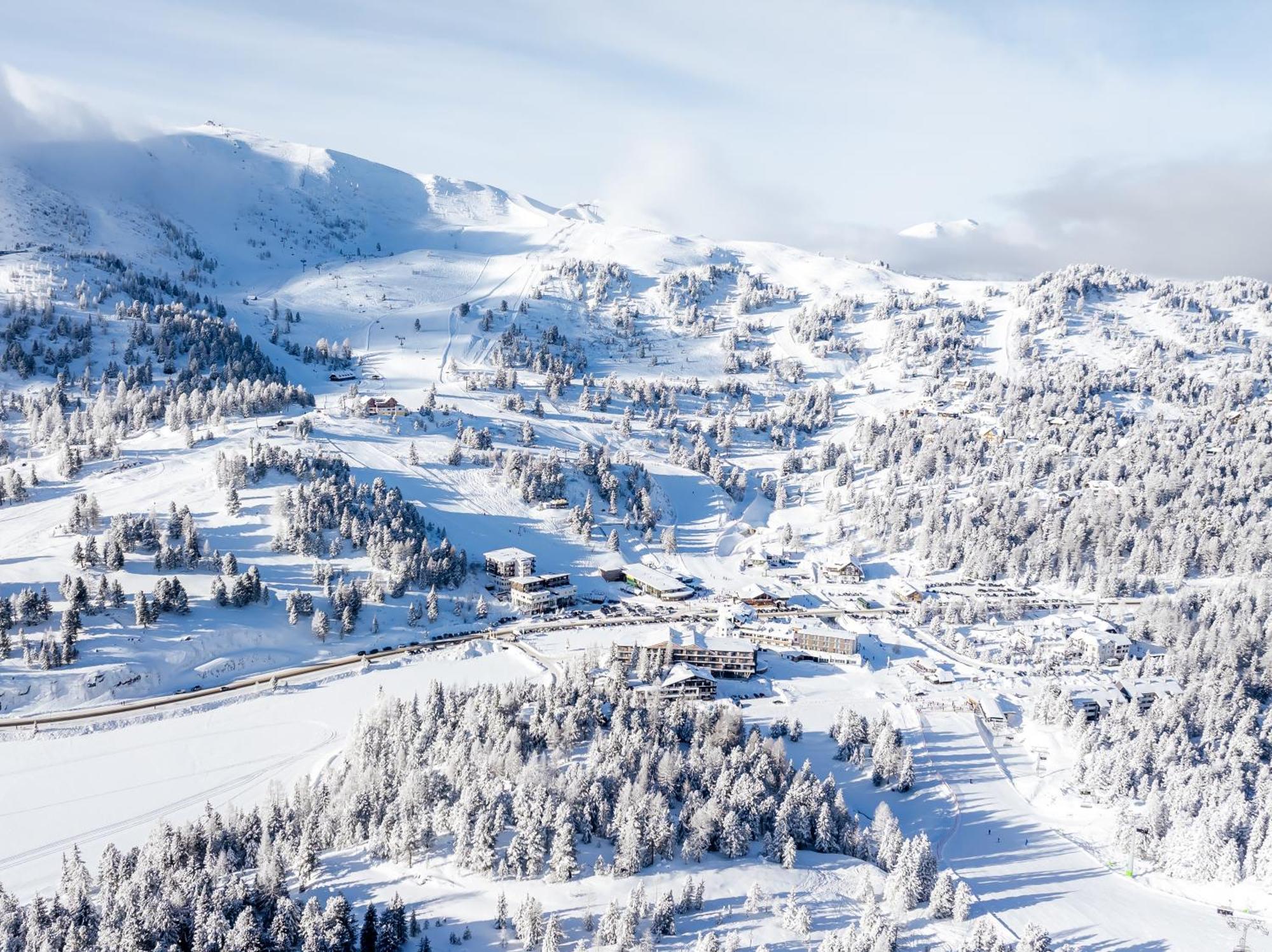 Alpin Peaks Hotel Turracher Hohe Eksteriør billede